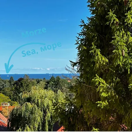 Homestay Deer Sopot